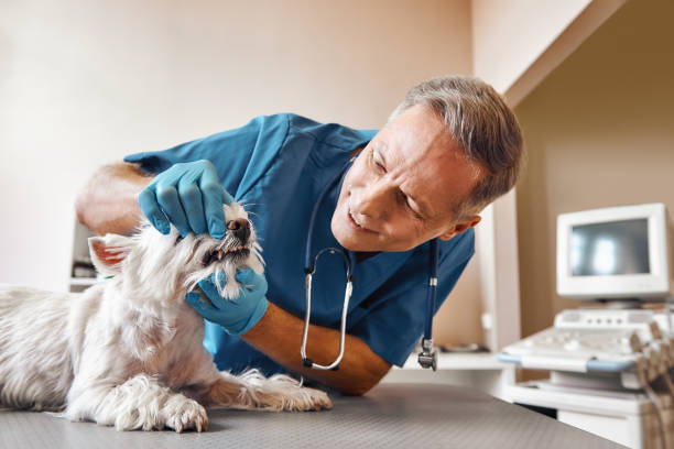  Metairie, LA Emergency Dentist Pros